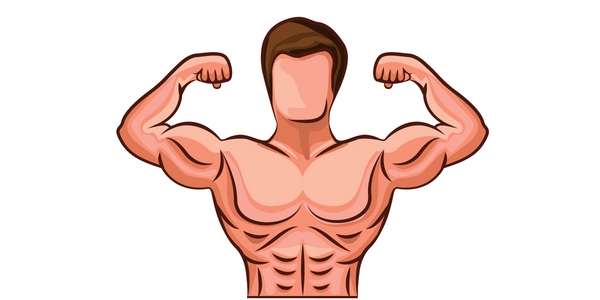 Building muscles