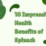 10 Impressive Health Benefits of Spinach health benefits of spinach