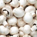 Top 9 Health Benefits of Mushrooms benefits of mushrooms